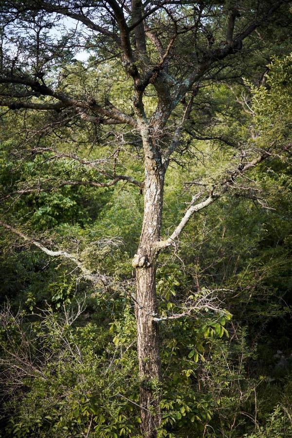 Letamo At Qwabi Private Game Reserve By Newmark Bela-Bela Exteriér fotografie
