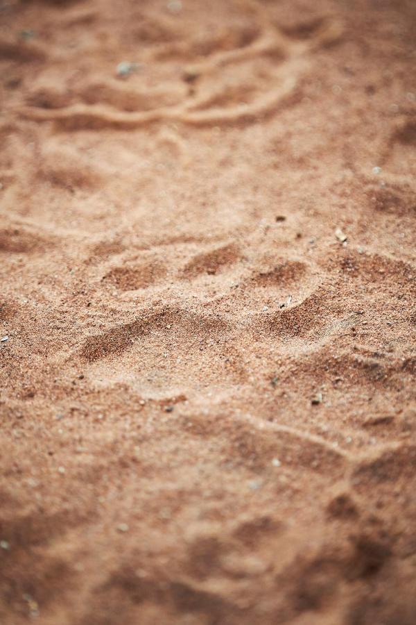 Letamo At Qwabi Private Game Reserve By Newmark Bela-Bela Exteriér fotografie